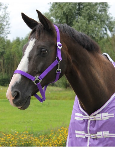 Cabeza cuello cabezada de cuadra Paddock bicolor Purple-Black tamaño Pony 